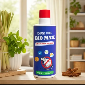 Hiệu quả lâu dài