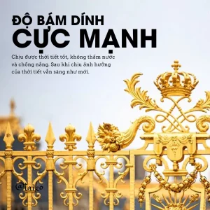 Phủ đều cả chi tiết nhỏ