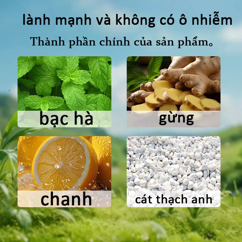 Thành phần chính của sản phẩm.